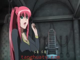 姬奴隶～堕落成母猪的双胞胎公主牝へと堕ちゆく双子の王女～第二幕 魔物の子种を堕とす丽姬の哀 DG-155