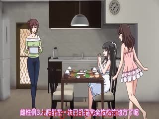 自宅警备员 第三任务 欠干爆乳人妻-翔子篇 ACMDP-1007